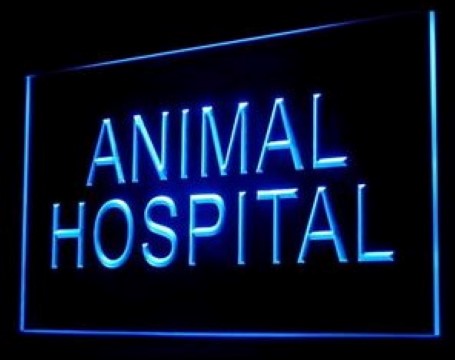 Animal Hospital Vet LED Neon Sign